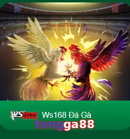 tongga88